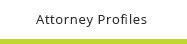 Attorney Profiles